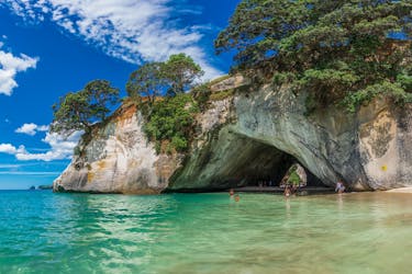 Coromandel full-day tour from Auckland